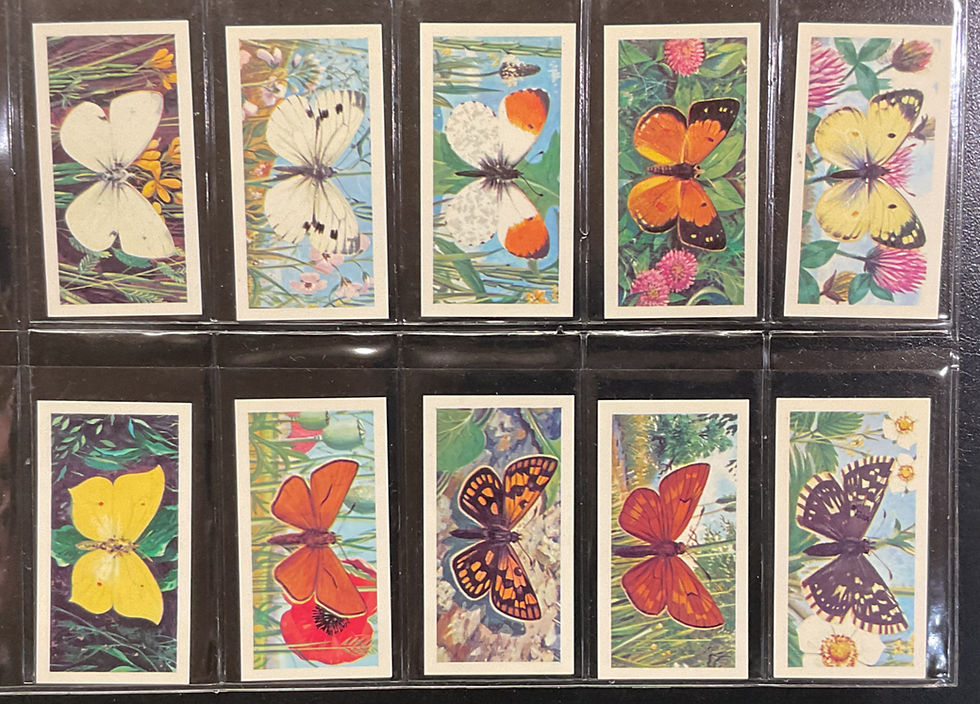 Thumbnail: Brooke Bond British Butterflies Black Black Reprint Tea Cards