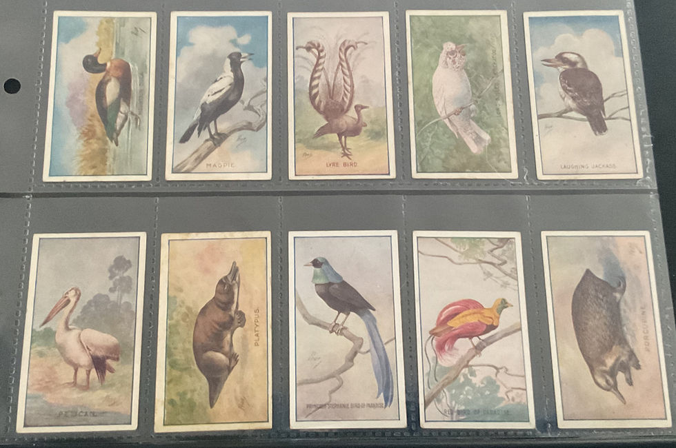 Thumbnail: Sniders & Abrahams Animals & Birds Australian Cigarette Cards