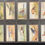 Thumbnail: Scottish C.W.S Feathered Favourites Non Adhesive White Border Cigarette Cards