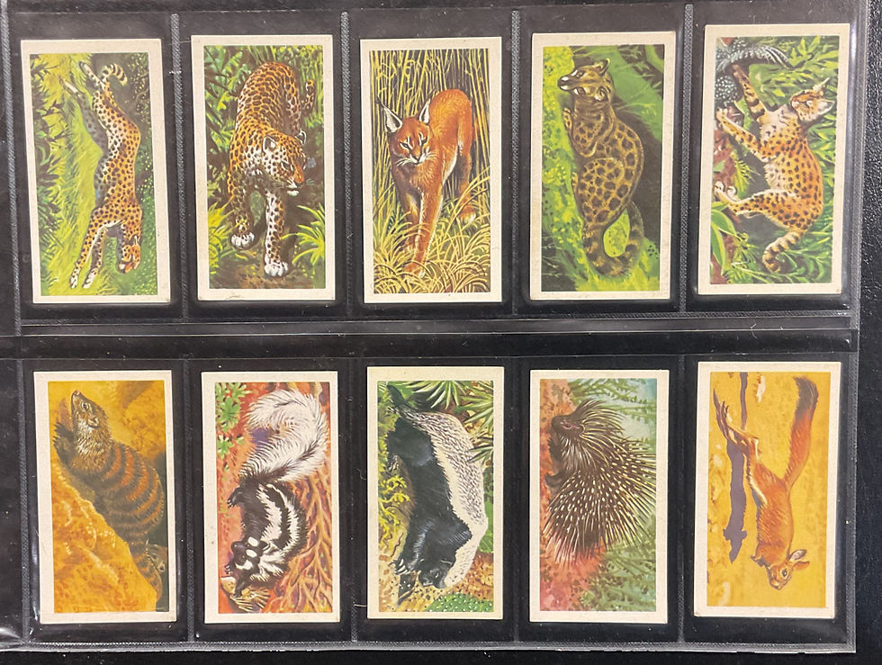 Thumbnail: Brooke Bond Tea African Wild Life Tea Cards