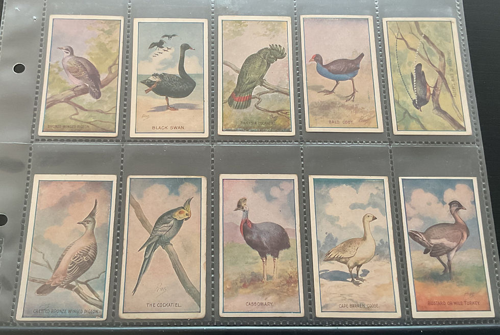 Thumbnail: Sniders & Abrahams Animals & Birds Australian Cigarette Cards