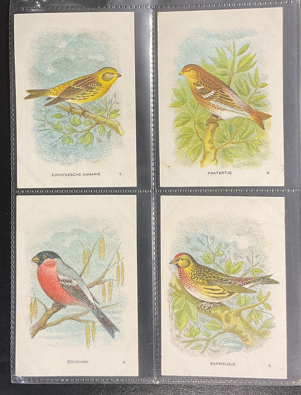 Thumbnail: Tiktak's Coffee Birds Dutch Trade Cards