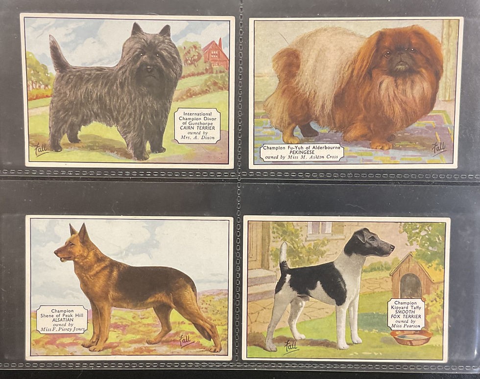 Thumbnail: Ardath Champion Dogs South African Issue  Cigarette Cards