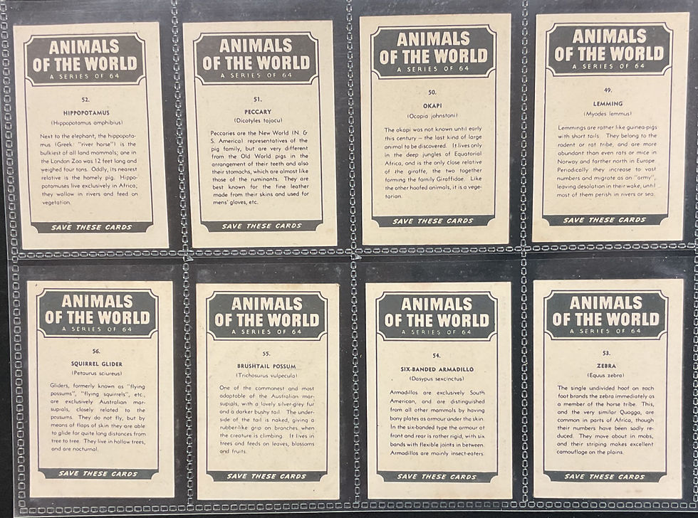 Thumbnail: Weet-Bix Animals Of The World Cereal Cards