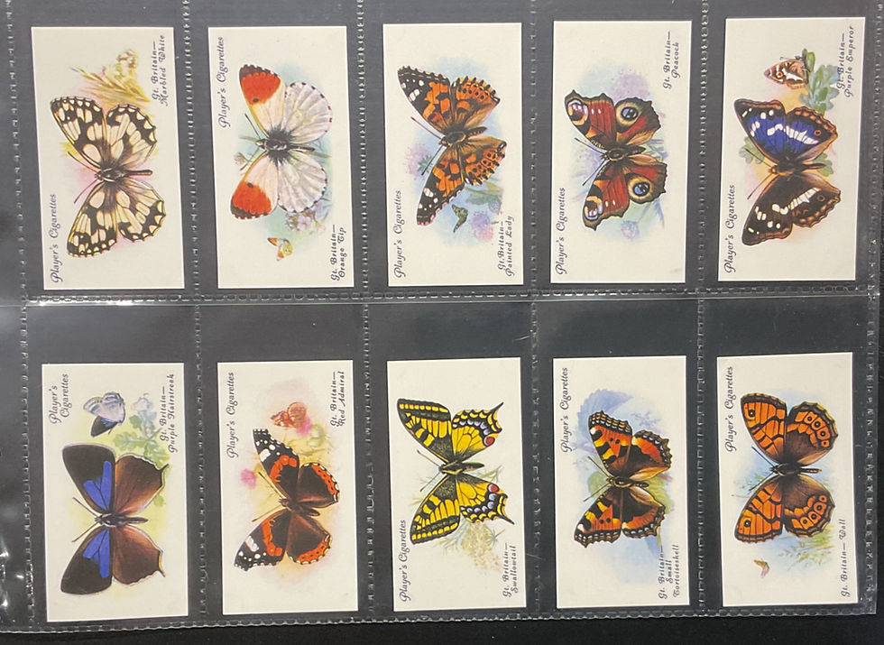 Thumbnail: Players Butterflies Reproduction Cigarette Cards