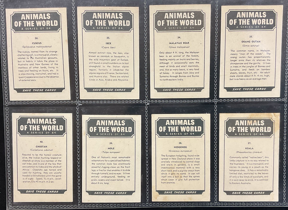 Thumbnail: Weet-Bix Animals Of The World Cereal Cards