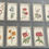 Thumbnail: Lea Flowers To Grow The Best Perennials Cigarette Cards