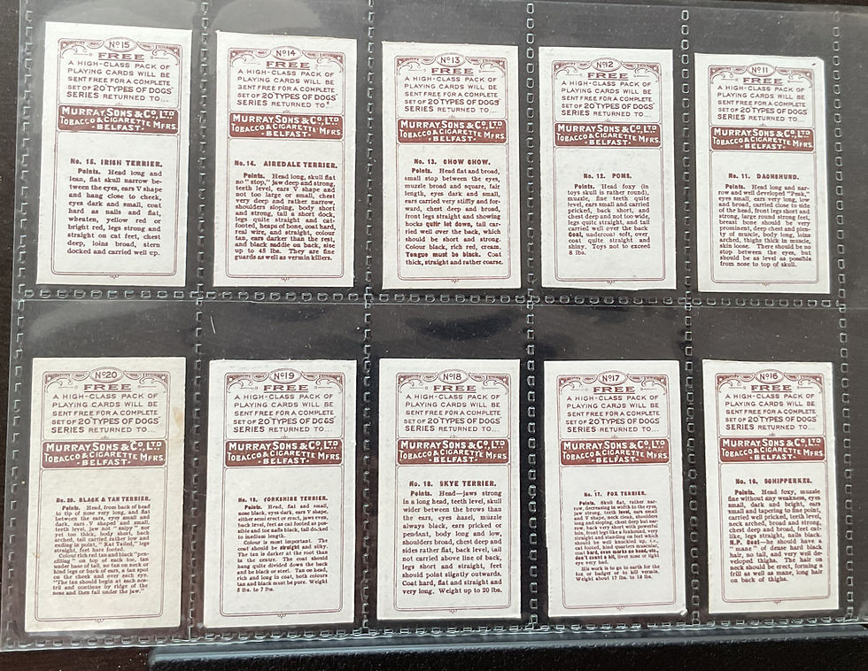 Thumbnail: Murray Types Of Dogs Cigarette Cards