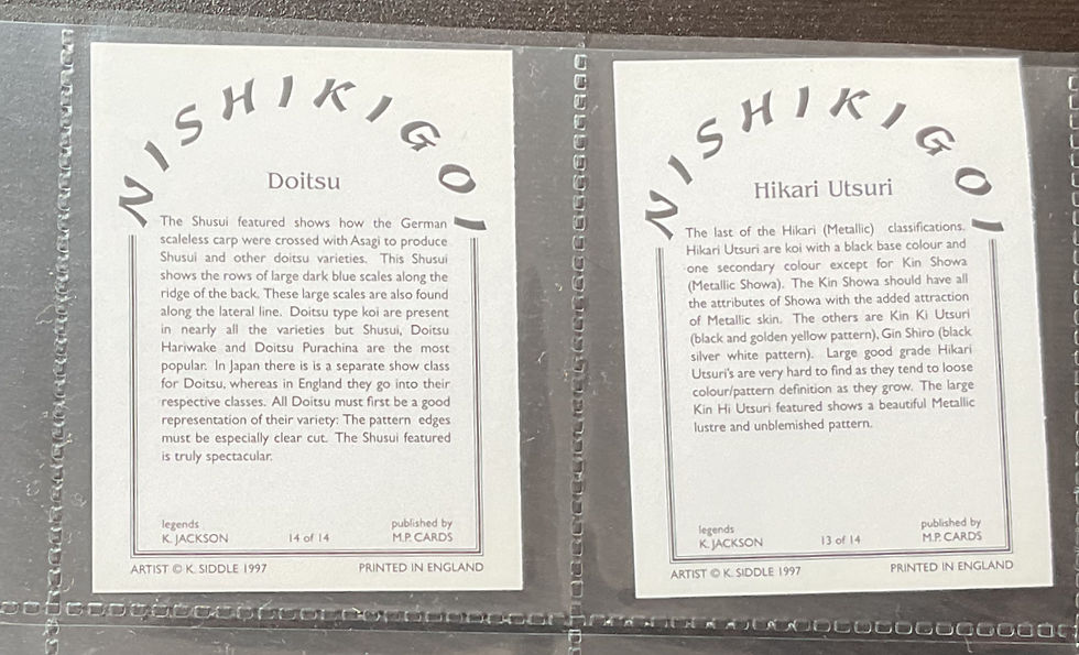 Thumbnail: M.P Cards Nishikigo Koi Carp Trade Cards