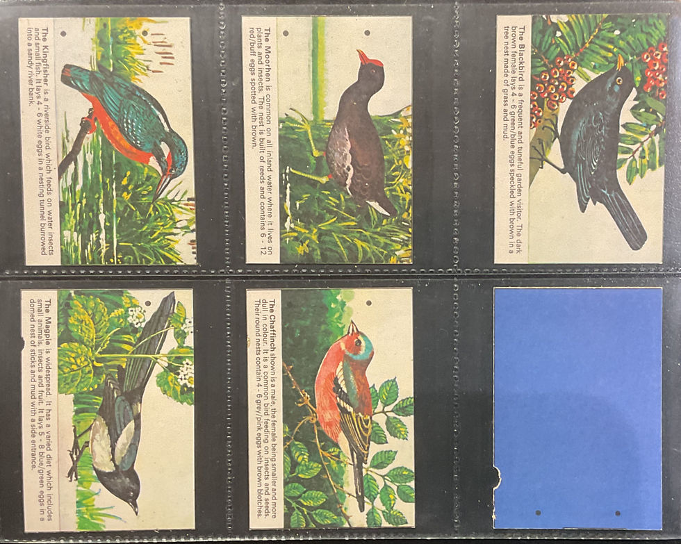 Thumbnail: Cadbury Birds Spotting Confectionary Cards