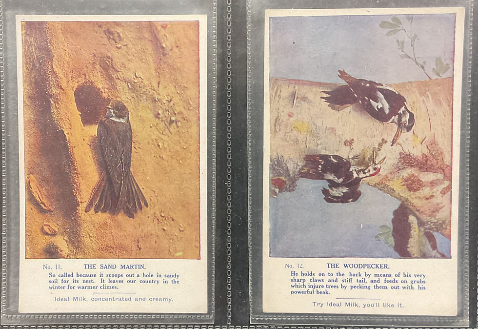 Thumbnail: Nestle Milk Animals And Birds Of The Countryside Confectionary Cards