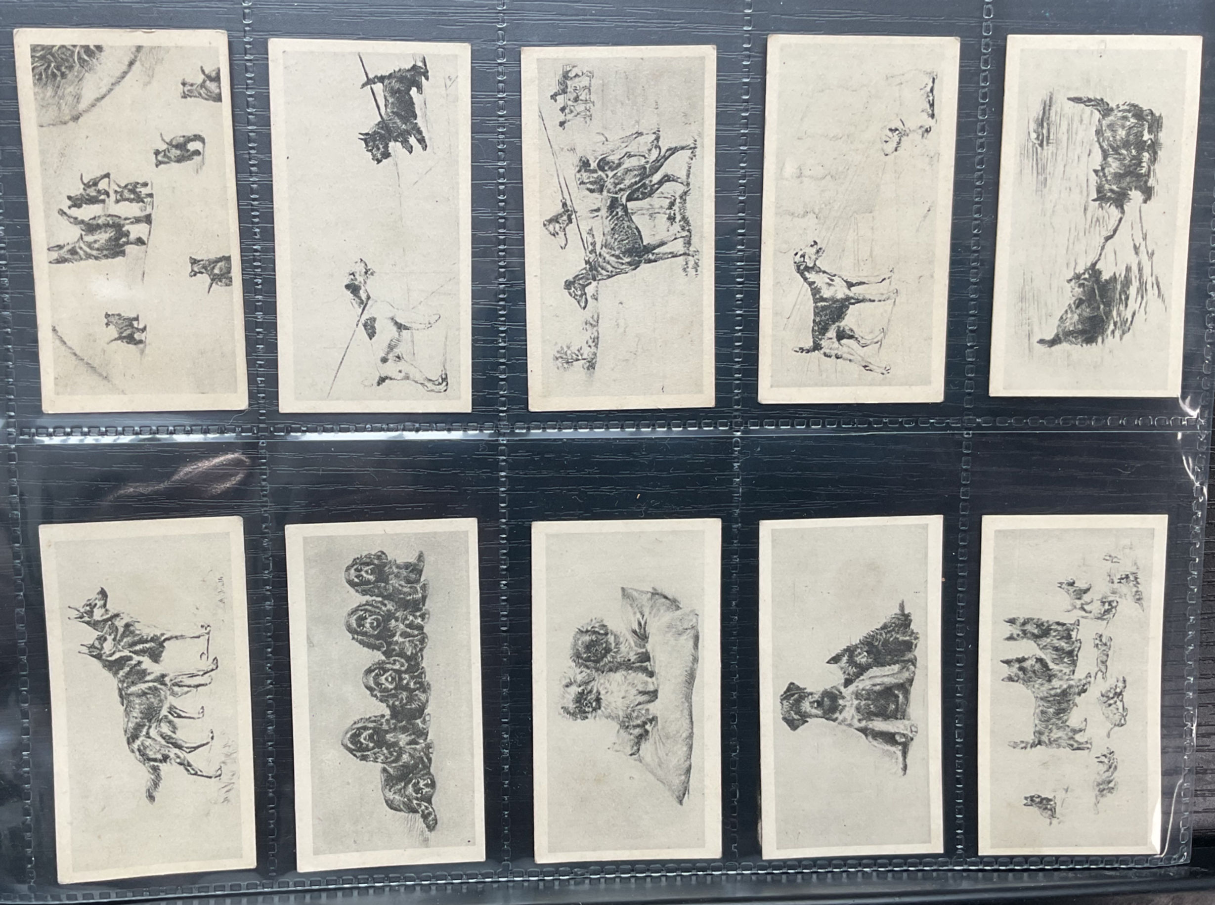 Wills Etchings Dogs New Zealand Issue Cigarette Cards