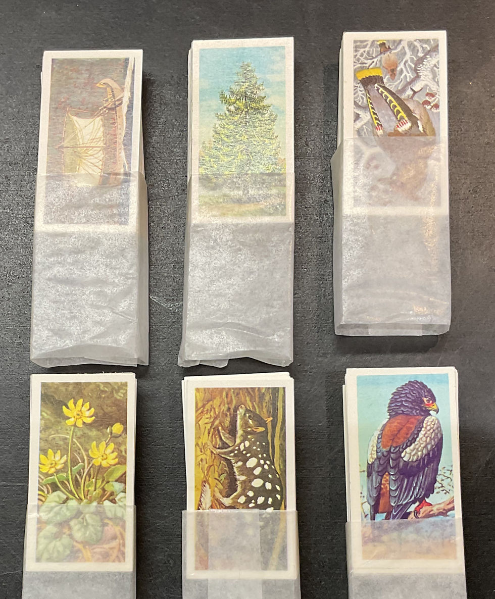 Thumbnail: Brooke Bond Tea Black Back Reprint Sets x17 Tea Cards