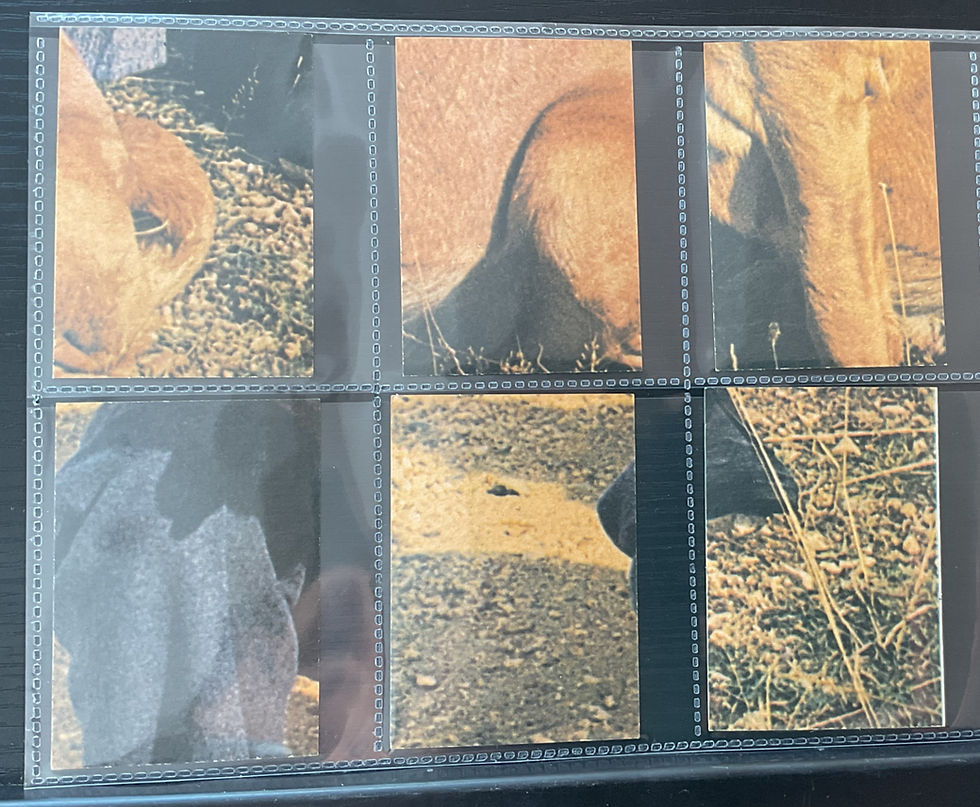 Thumbnail: Somportex Gum Adventures Of Sexton Blake Bubblegum Cards
