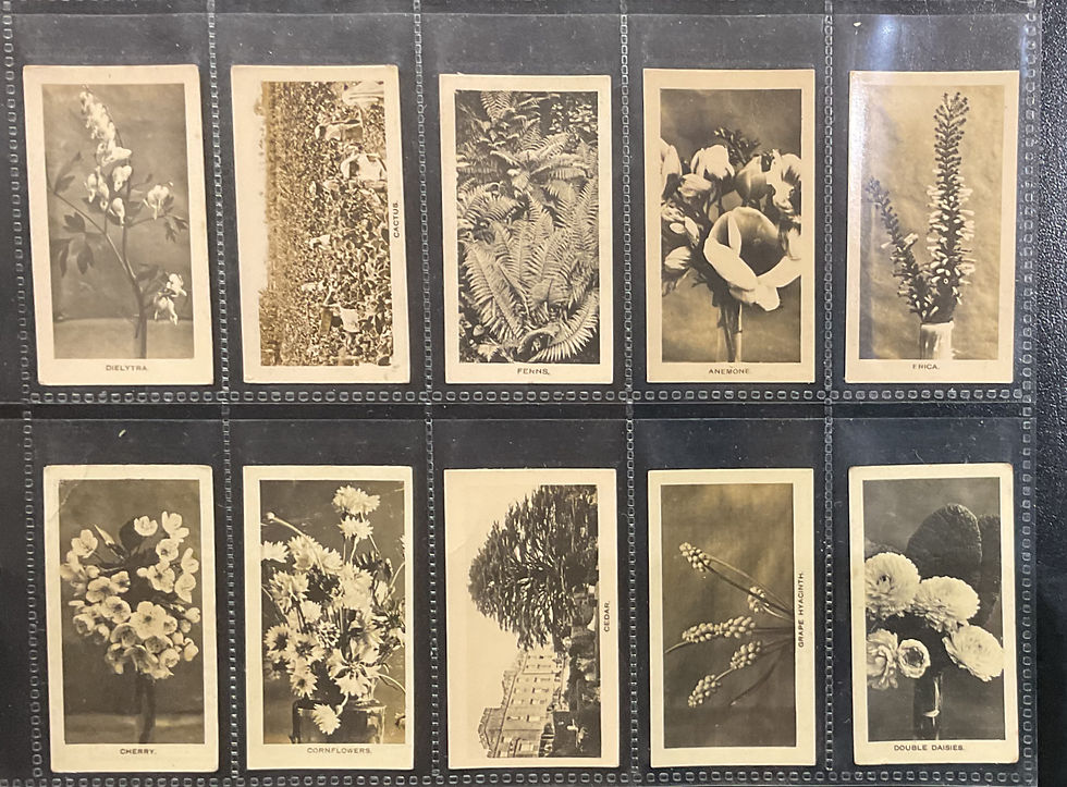 Thumbnail: Sinclair Flowers & Plants Numbered Cigarette Cards