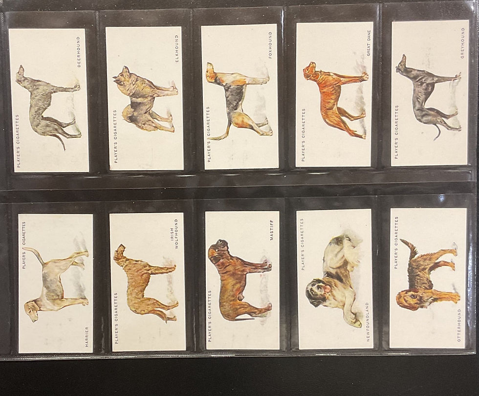 Thumbnail: Players Dogs Full Length By Wardle Cigarette Cards