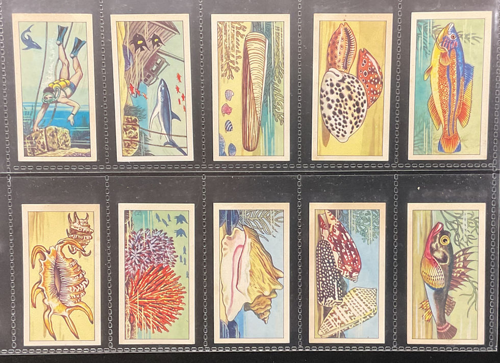 Thumbnail: Browne's Tea Wonders Of The Deep Tea Cards