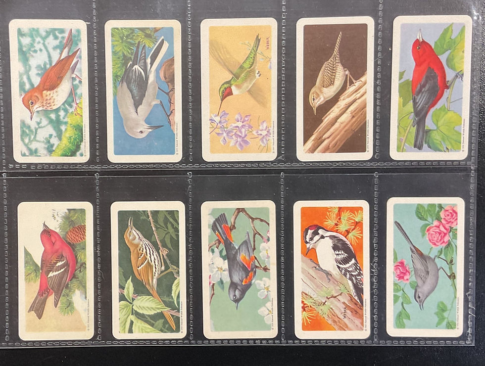 Thumbnail: Brooke Bond Tea Canada Songbirds Of North America  Albums Available Tea Cards