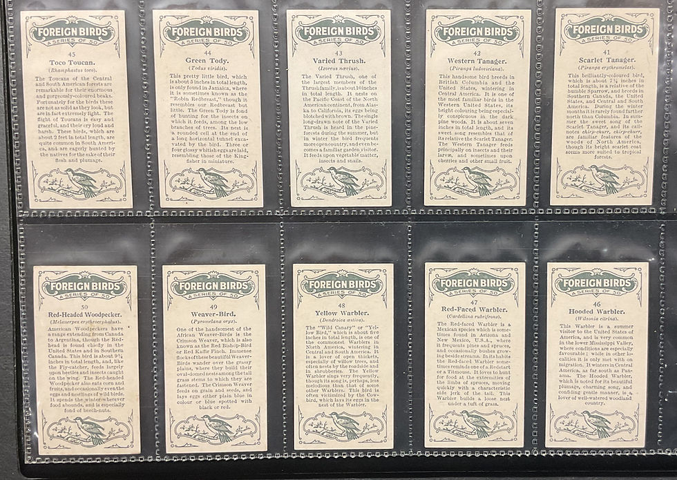 Thumbnail: British American Tobacco B.A.T Foreign Birds Cigarette Cards