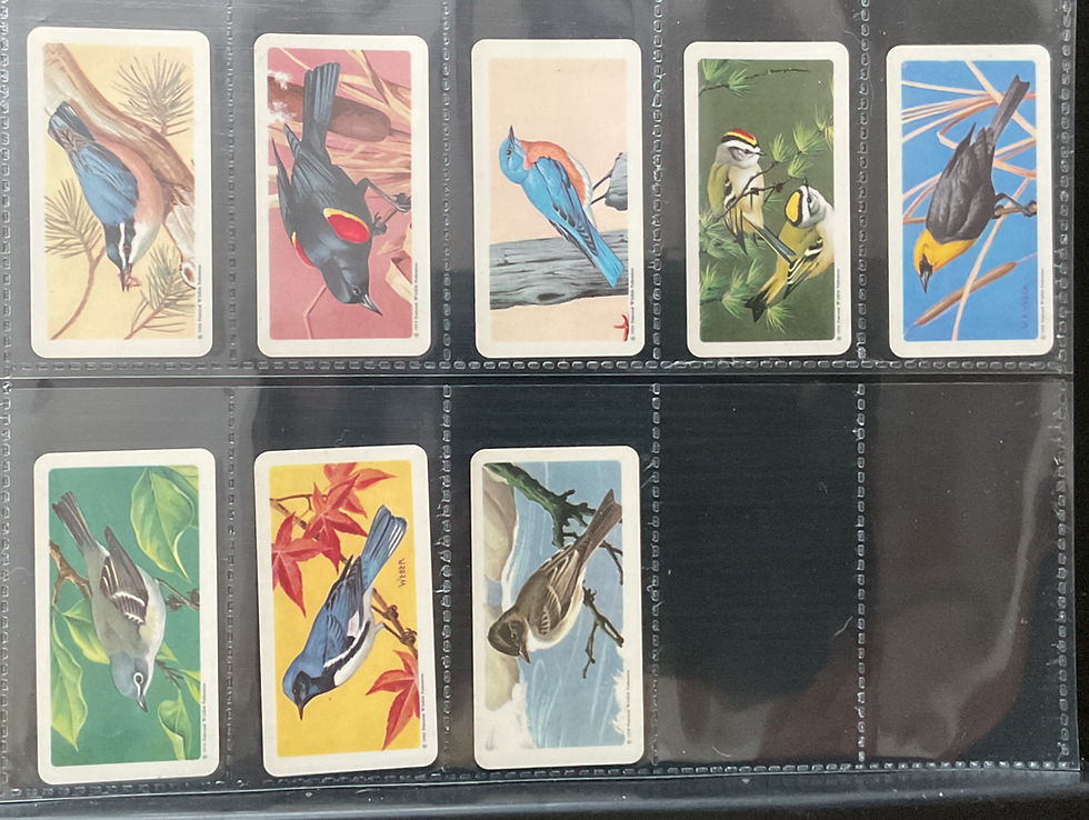 Thumbnail: Brooke Bond Tea Canada Songbirds North America Mount Your Collection Tea Cards