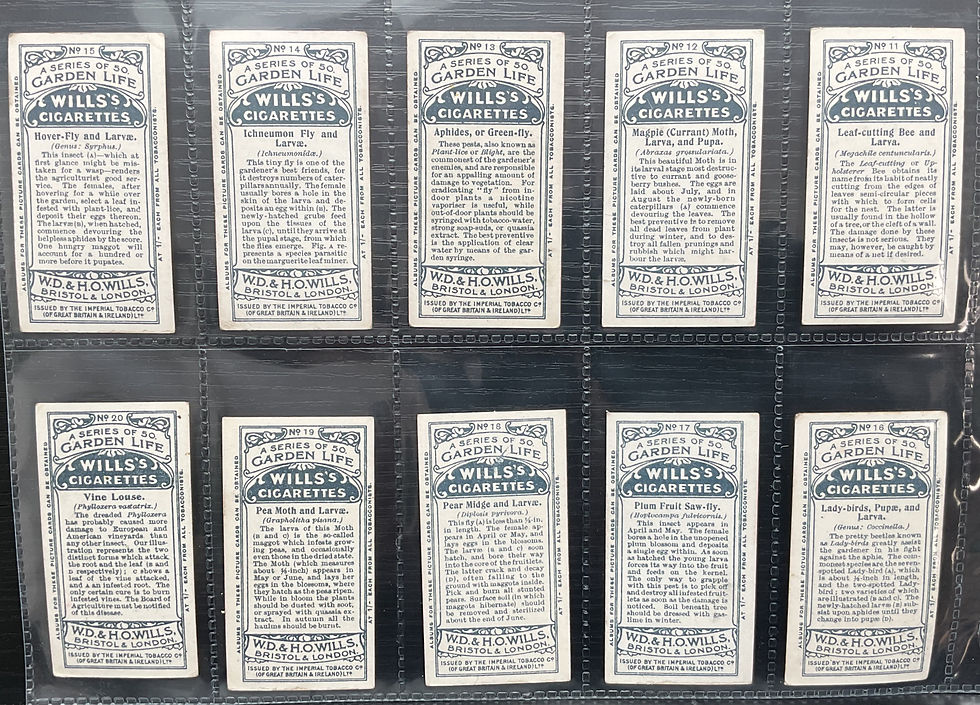Thumbnail: Wills Garden Life Cigarette Cards