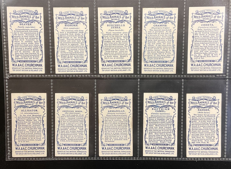 Thumbnail: Churchman Wild Animals Cigarette Cards