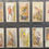 Thumbnail: Scottish C.W.S Feathered Favourites Adhesive White Border Cigarette Cards