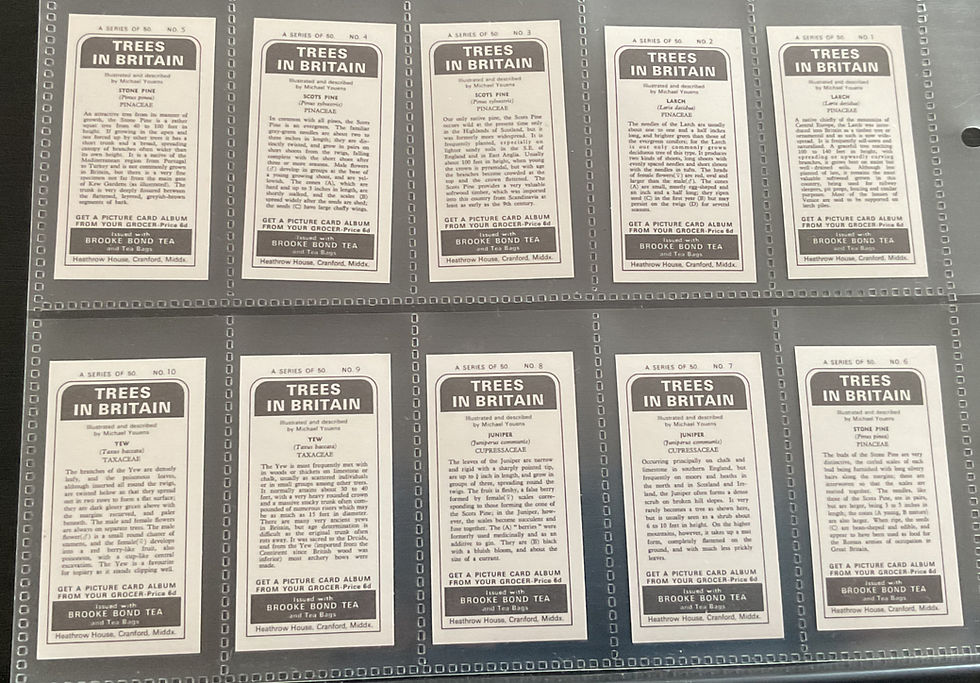 Thumbnail: Brooke Bond Tea Trees In Britain Black Back Reprints Tea Cards