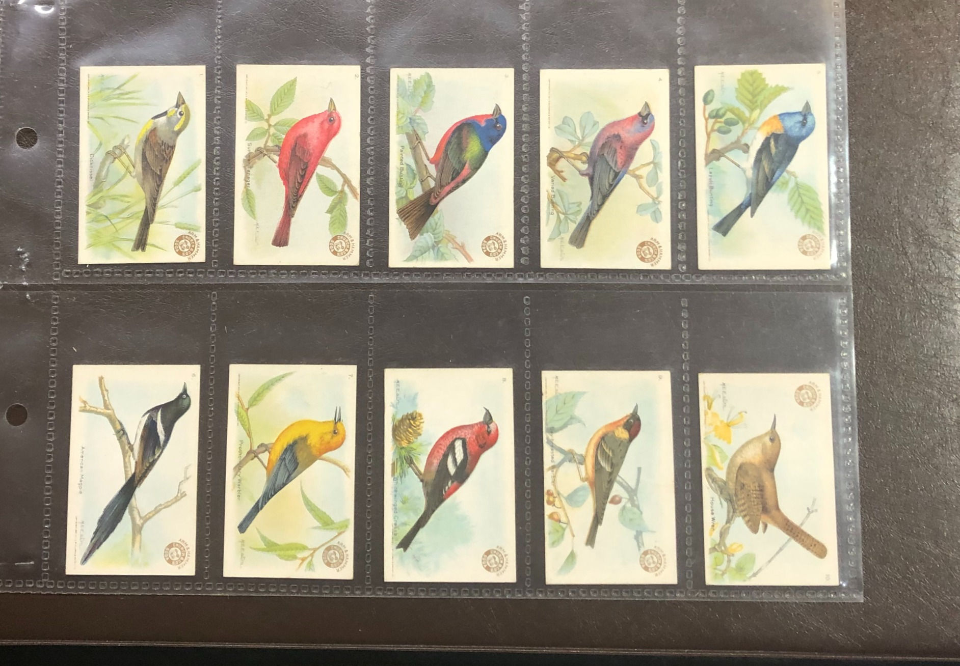 Church & Dwight Useful Birds Of America Series 3 Trade Cards