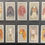 Thumbnail: Players Dogs Heads Silver Background Eire Cigarette Cards
