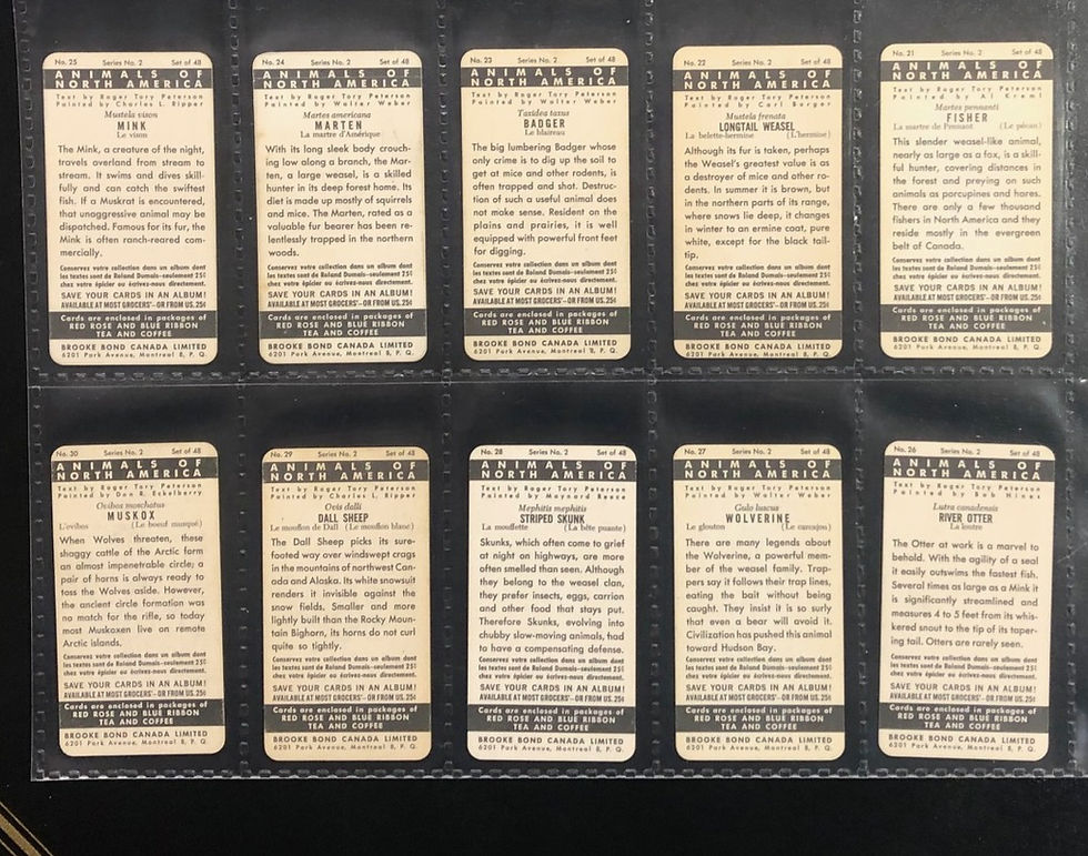 Thumbnail: Brooke Bond Tea Canada Animals Of North America 49mm Tea Cards