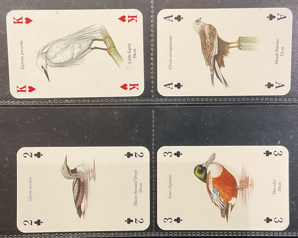 Thumbnail: Heritage Birds Playing Cards