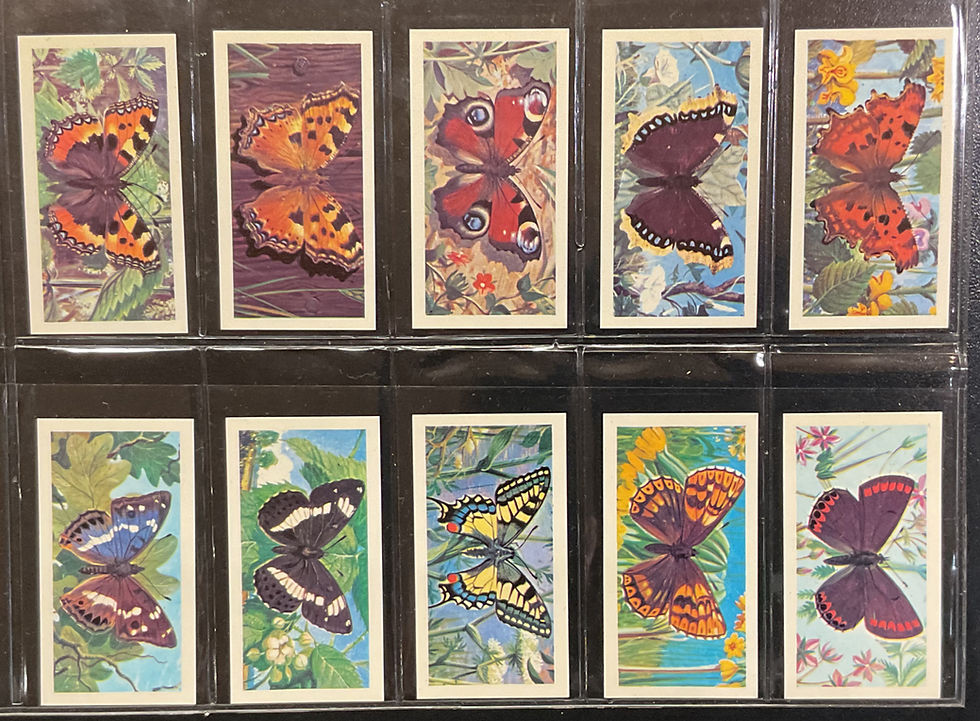 Thumbnail: Brooke Bond British Butterflies Black Black Reprint Tea Cards