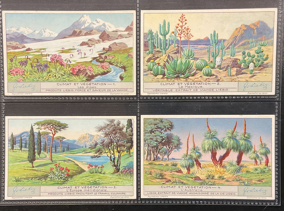 Thumbnail: Liebig Climate And Vegetation S1277 Trade Cards