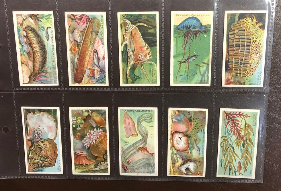 Thumbnail: Players Wonders Of The Deep Cigarette Cards
