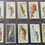 Thumbnail: Players Fishes Of The World Cigarette Cards