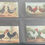 Thumbnail: Paul Chapman Poultry Breeds Trade Cards