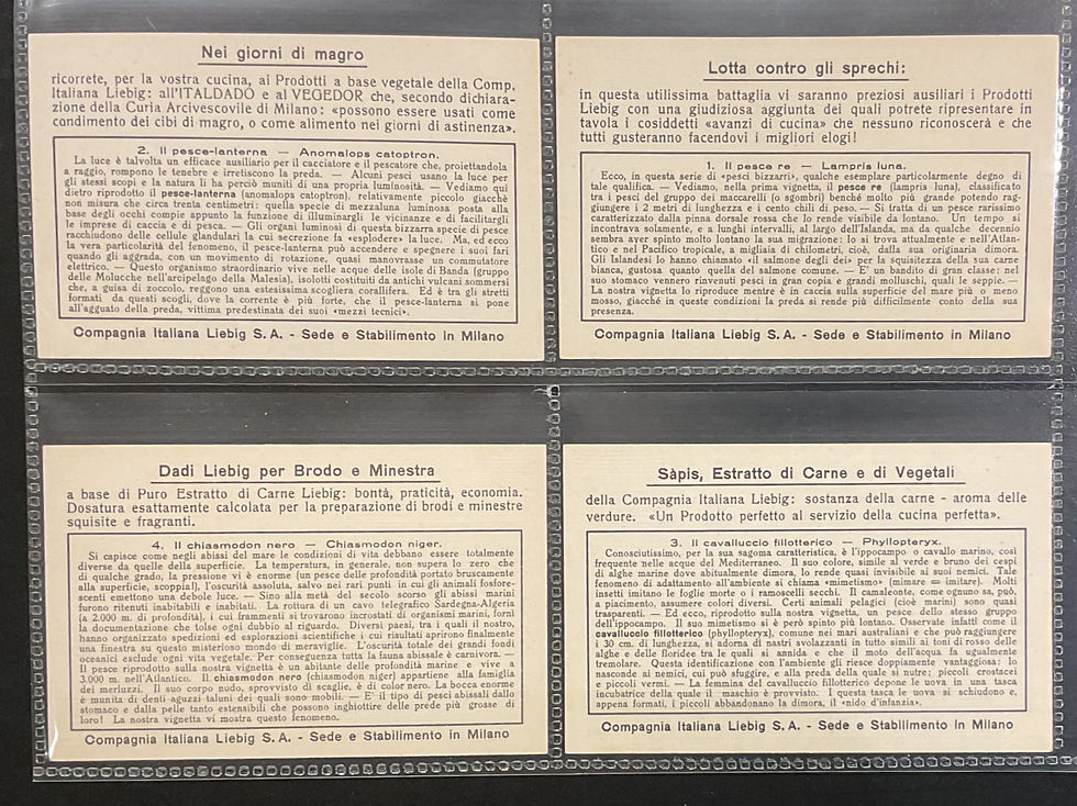 Thumbnail: Liebig Unusual Fish S1433 Trade Cards