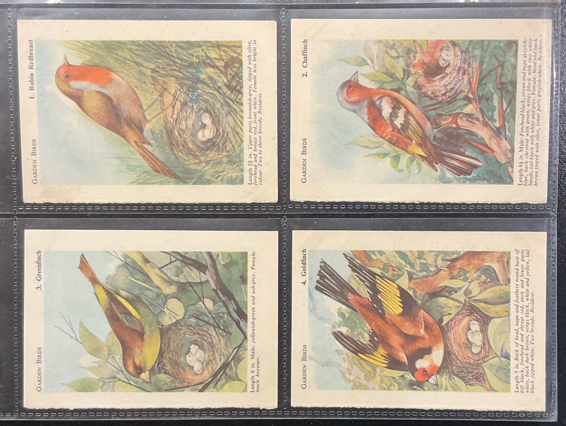 Book Tallies Garden Birds Trade Cards