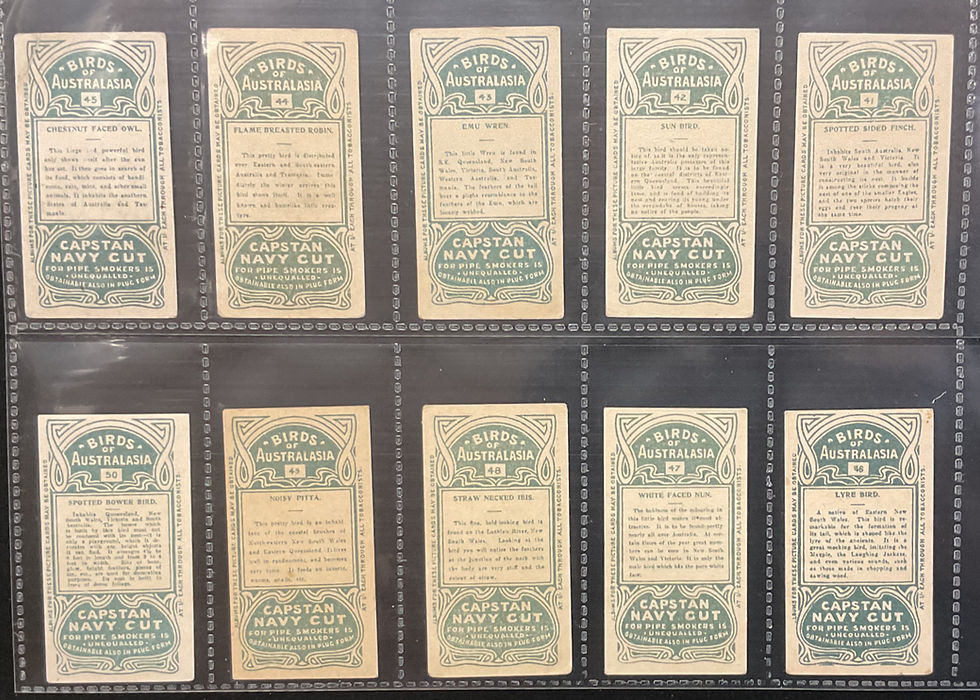 Thumbnail: Wills Australian Issue Birds Of Australasia Green Back Cigarette Cards