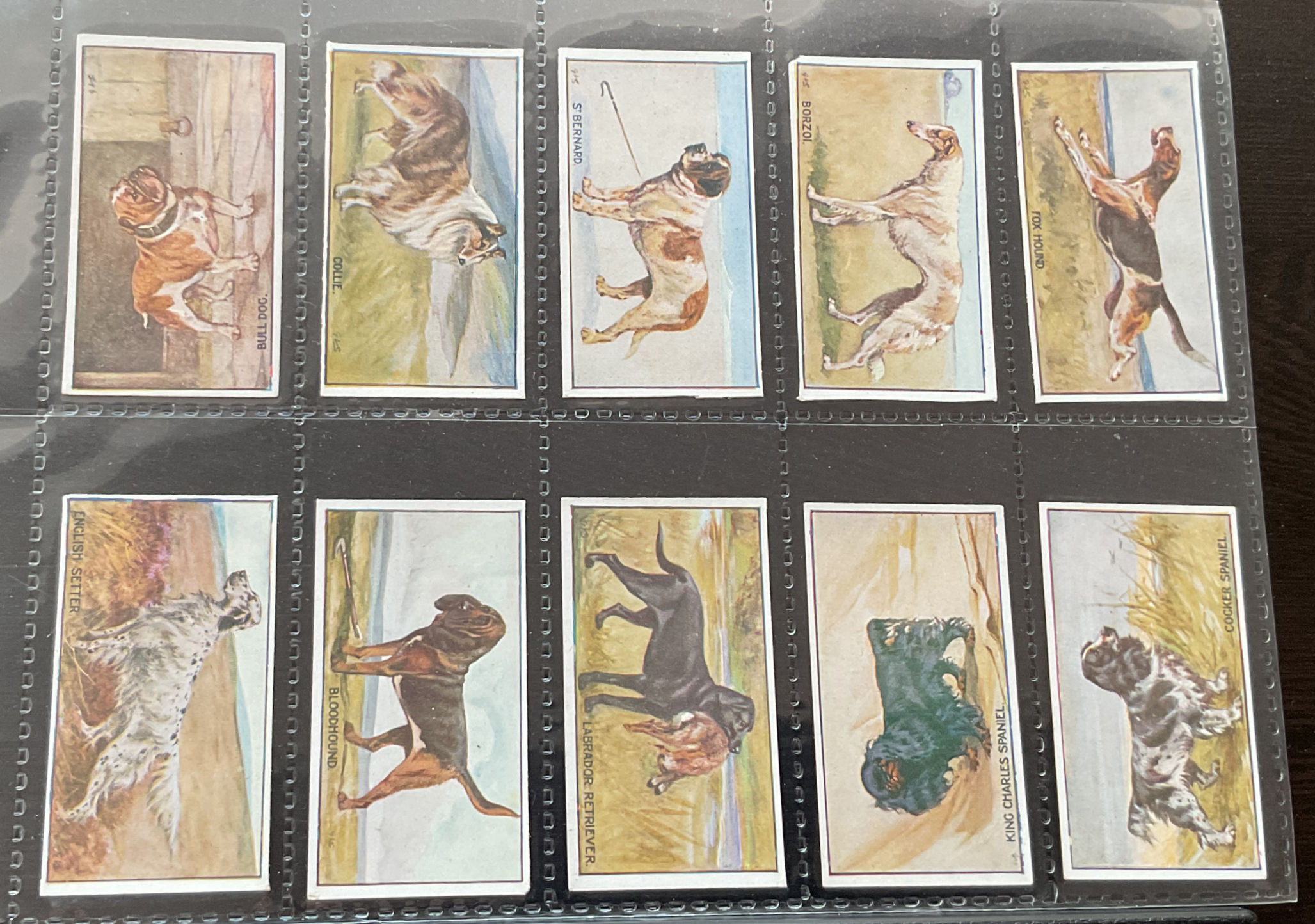 Murray Types Of Dogs Cigarette Cards
