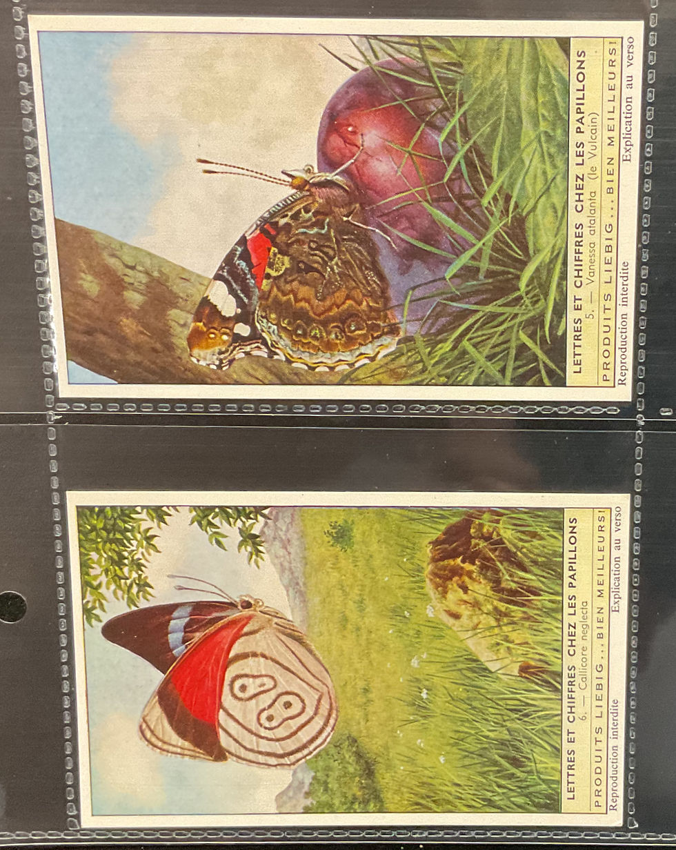 Thumbnail: Liebig Buttrflies S1759 Trade Cards
