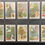 Thumbnail: Gallaher Woodland Tree Series Cigarette Cards