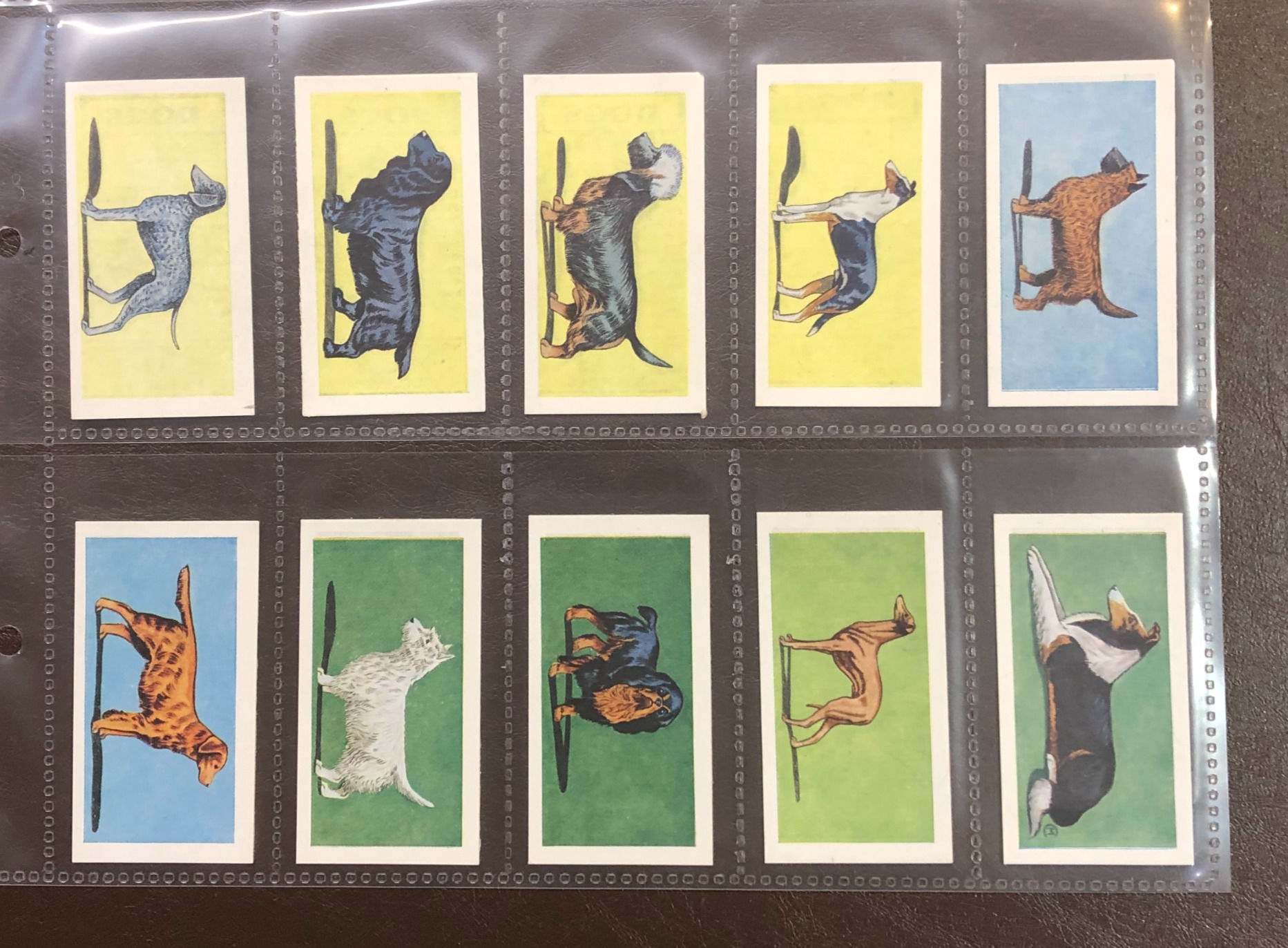 Amalgamated Tobacco Mills Dogs Cigarette Cards
