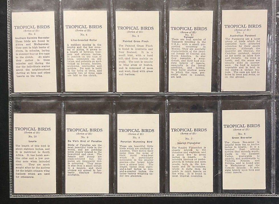 Thumbnail: Anonymous Tropical Birds Trade Cards