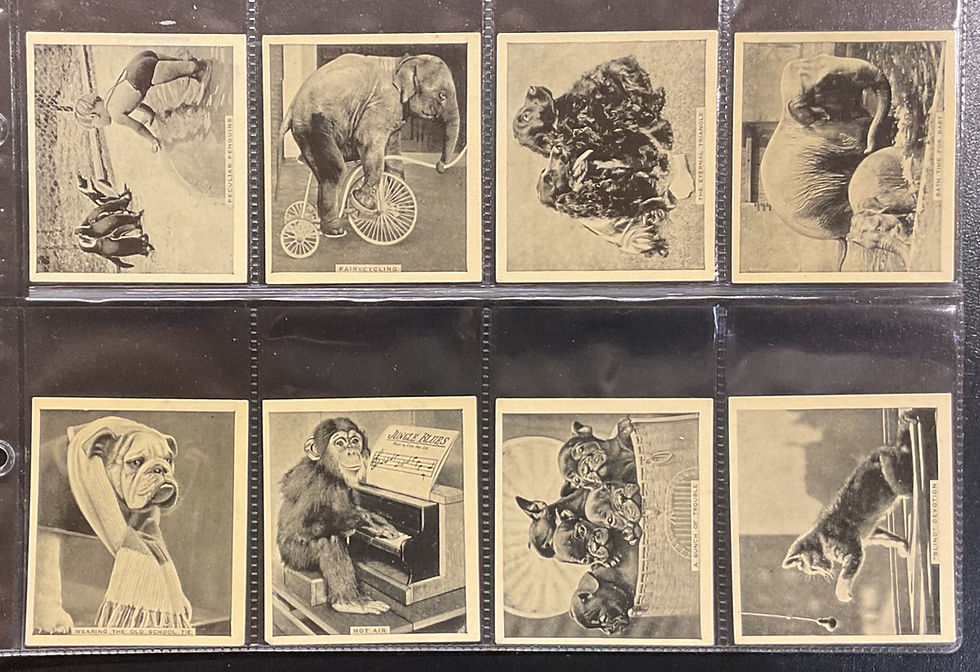 Thumbnail: Phillips Our Favourites Cigarette Cards