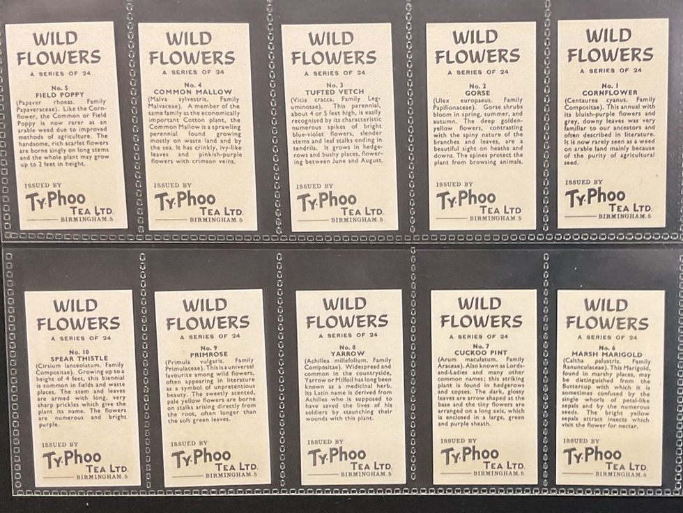Thumbnail: Typhoo Tea Wild Flowers Tea Cards