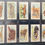 Thumbnail: Players Wild Animal Of The World No LTD Cigarette Cards