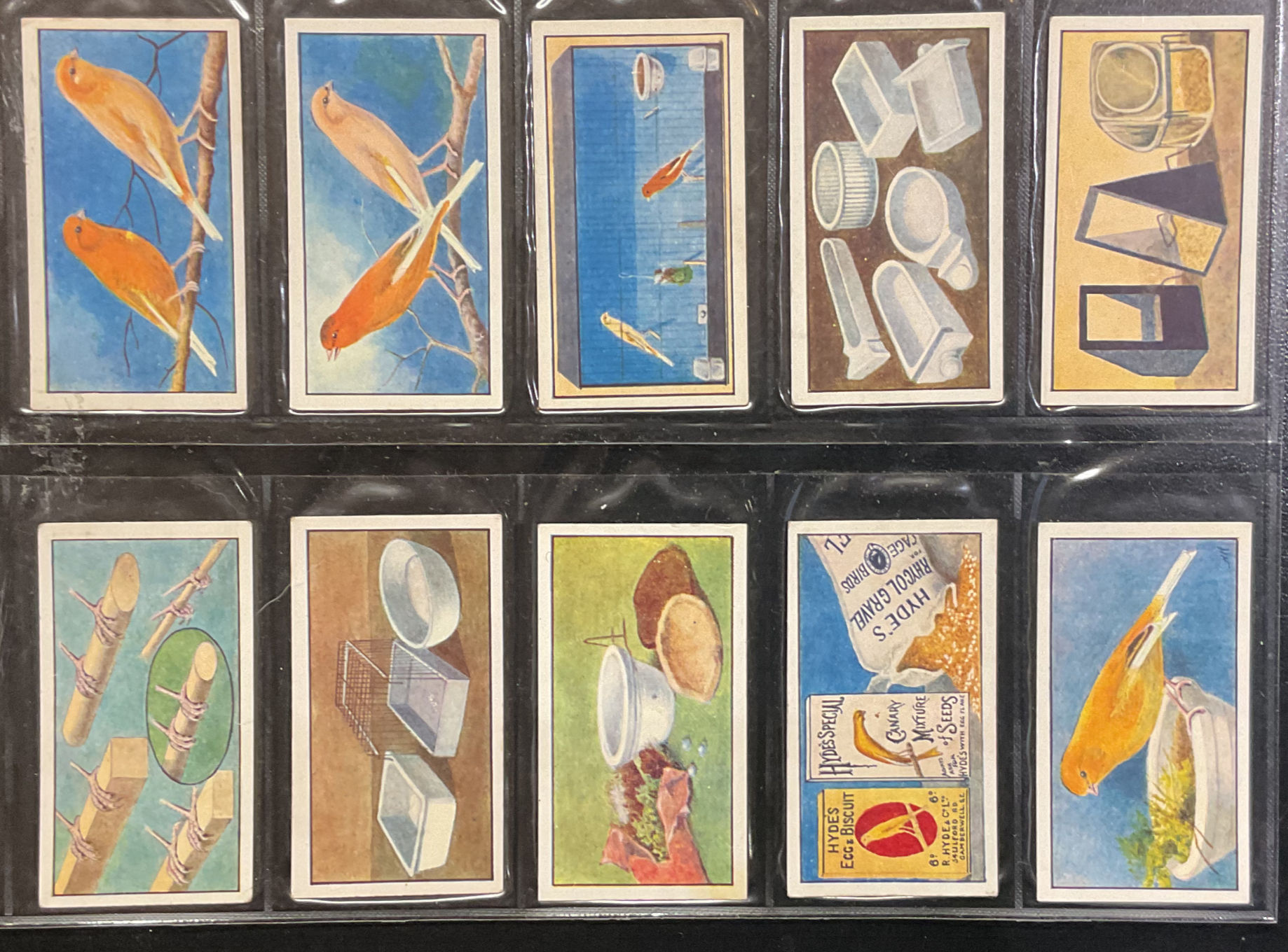 Hyde's Canary Culture Birds Trade Cards