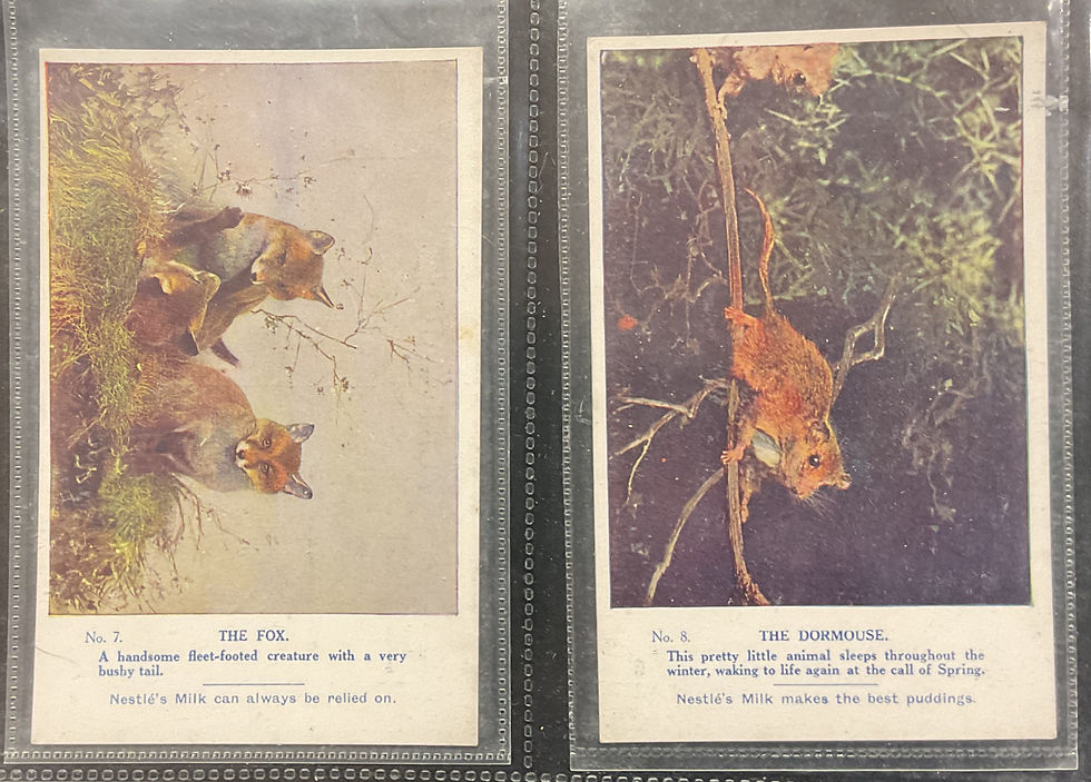 Thumbnail: Nestle Milk Animals And Birds Of The Countryside Confectionary Cards